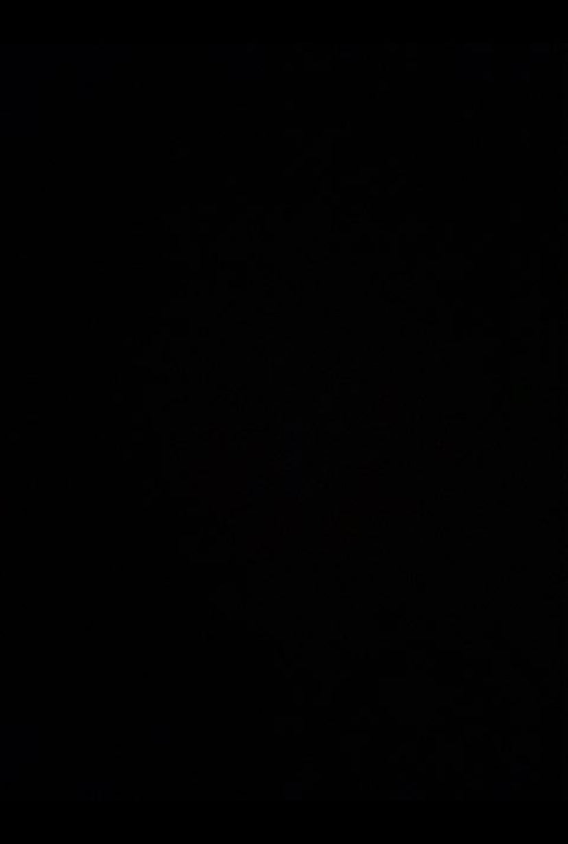 Dobbelt brusekabine døre